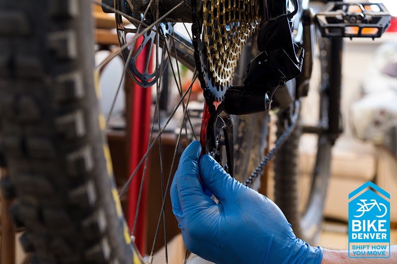 Bike shop tune up cost online